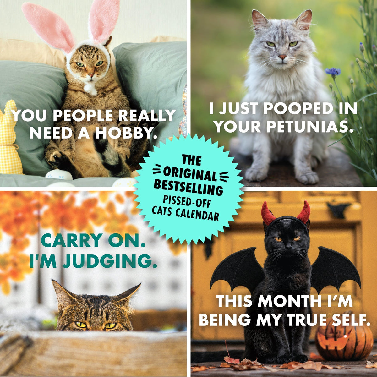 2027 Pissed-off Cats Calendar