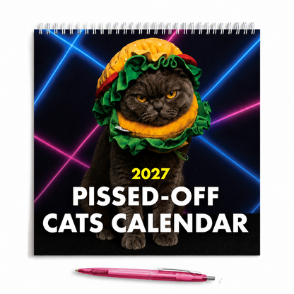 2027 Pissed-off Cats Calendar