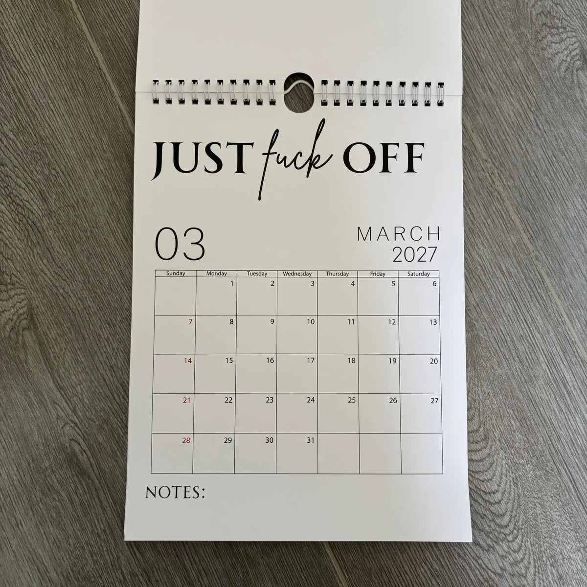 Fuck It Calendar 2027, Funny Sweary Wall Calendar