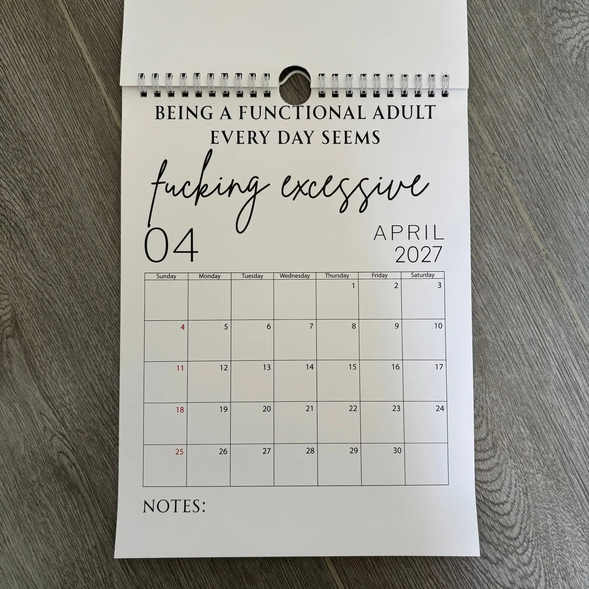 Fuck It Calendar 2027, Funny Sweary Wall Calendar