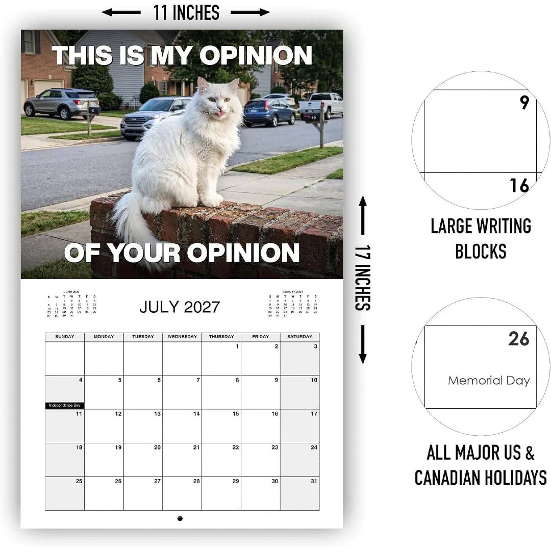 2027 Pissed-Off Cats Calendar