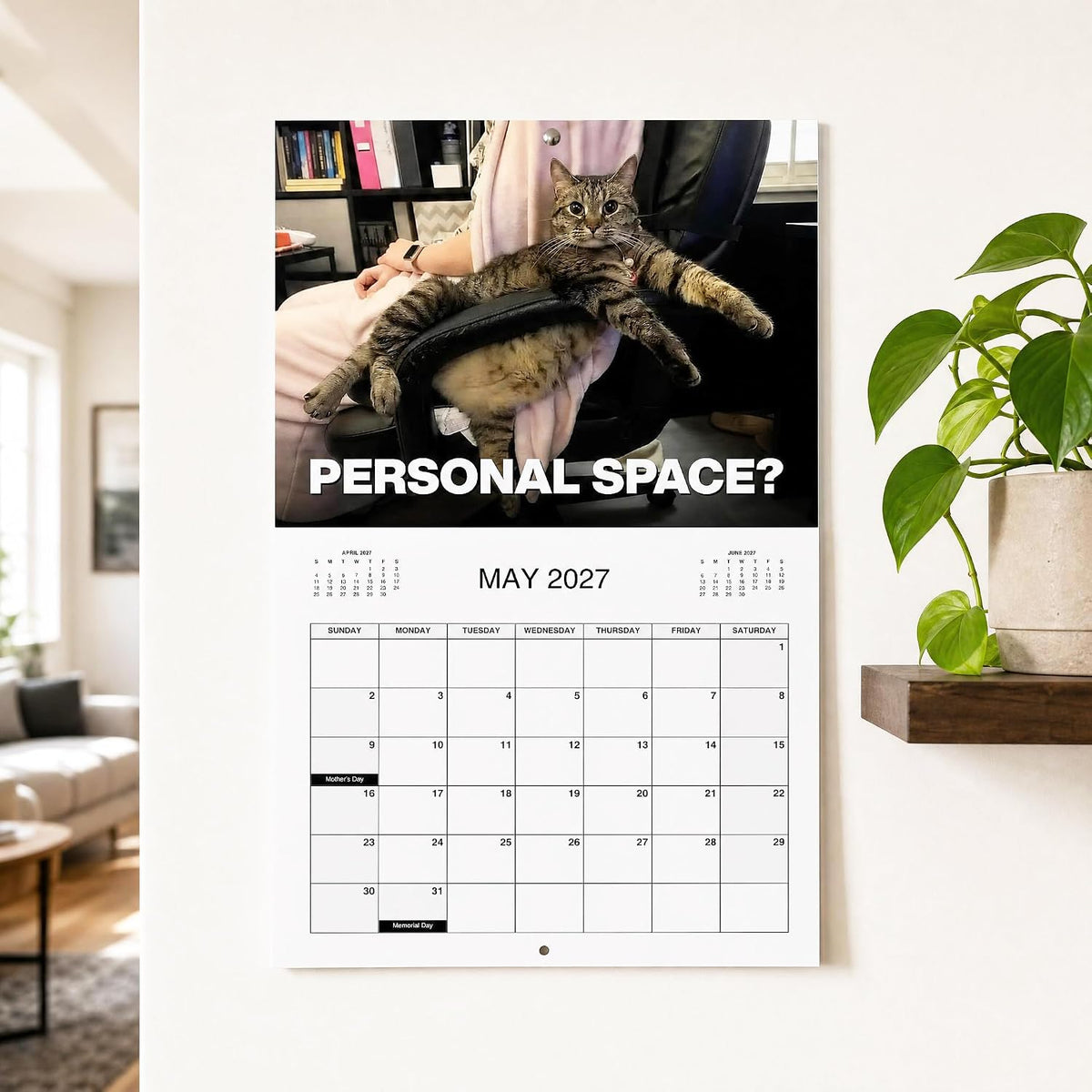 2027 Pissed-Off Cats Calendar