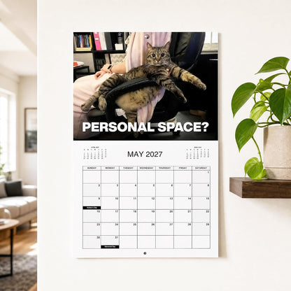 2027 Pissed-Off Cats Calendar