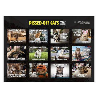 2027 Pissed-Off Cats Calendar