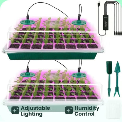 🔥🎉Seed starter trays with grow light
