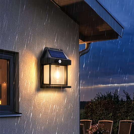 Solar Motion Sensor Wall Light