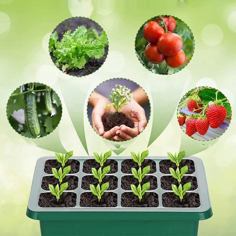 🔥🎉Seed starter trays with grow light