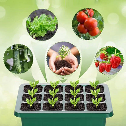 🔥🎉Seed starter trays with grow light