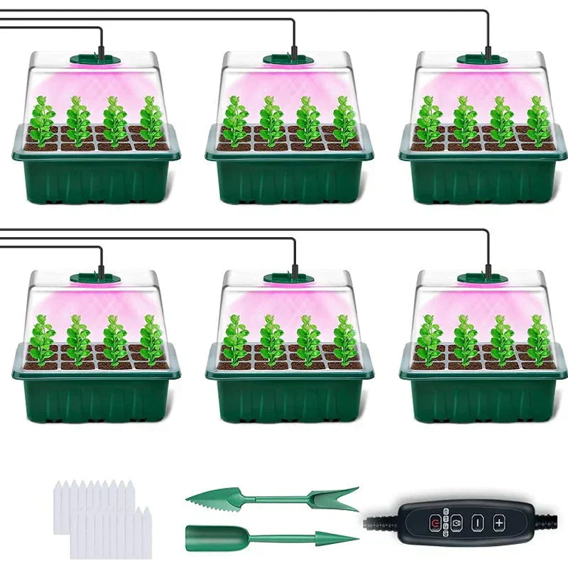 🔥🎉Seed starter trays with grow light