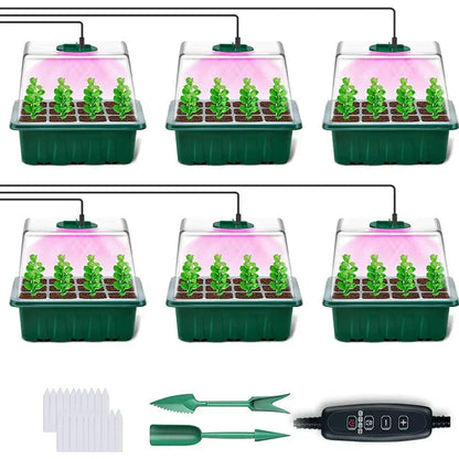🔥🎉Seed starter trays with grow light